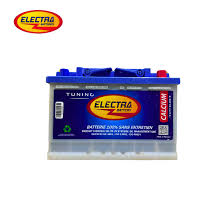 L4 electra